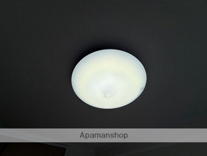 大阪府大阪市東淀川区豊新1丁目の賃貸マンションの内装