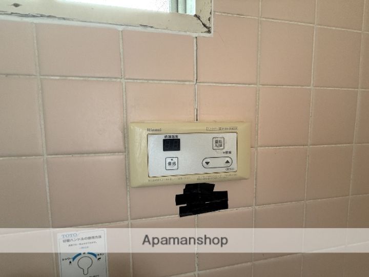 大阪府大阪市東淀川区豊新1丁目の賃貸マンションの内装