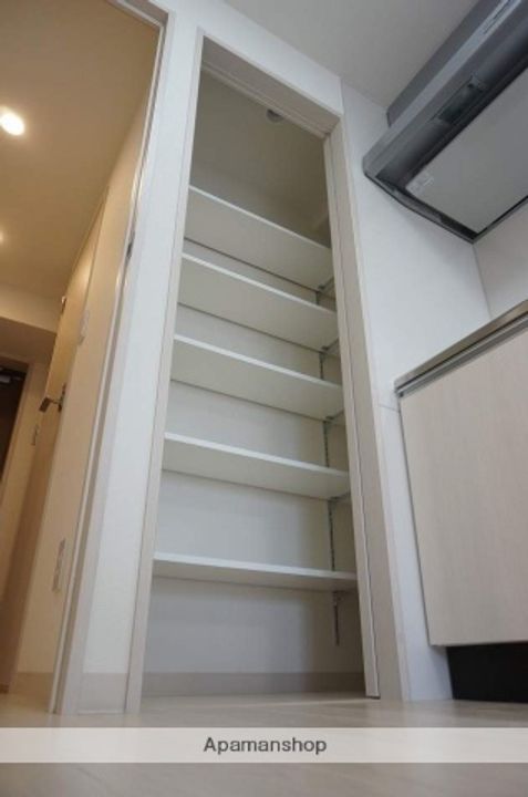 大阪府豊中市服部西町1丁目の賃貸マンションの内装