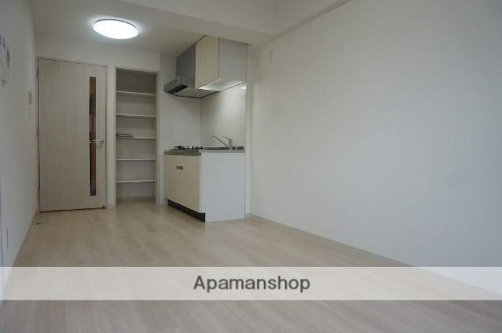 大阪府豊中市服部西町1丁目の賃貸マンションの内装