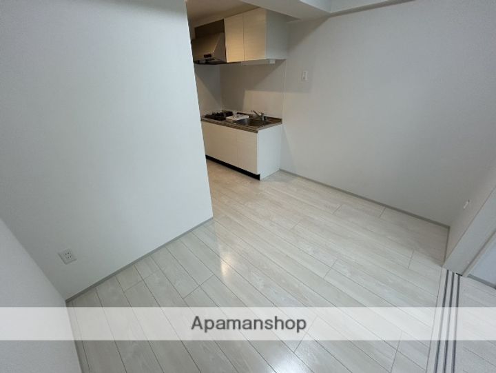 大阪府吹田市南金田2丁目の賃貸マンションの内装