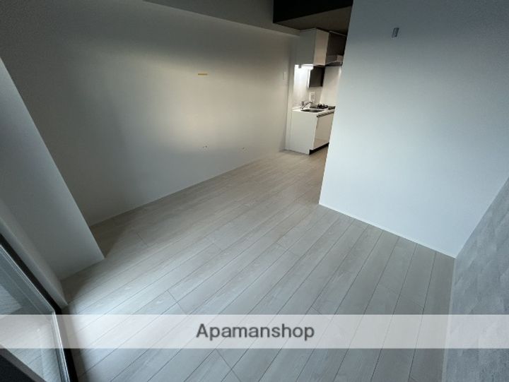 大阪府吹田市南金田1丁目の賃貸マンションの内装