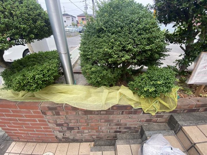 第二塩野マンションのその他画像