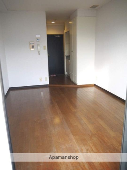 兵庫県西宮市鳴尾町3丁目の賃貸マンションの居間