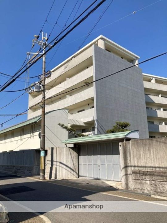 ひよどりの外観