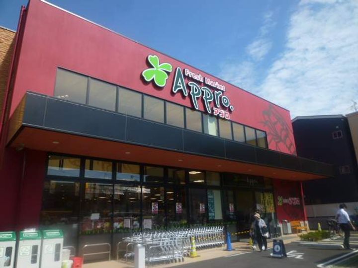 レオパレスNSクロスRの周辺