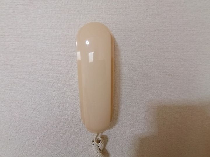 レオパレスNorthCourtのその他画像
