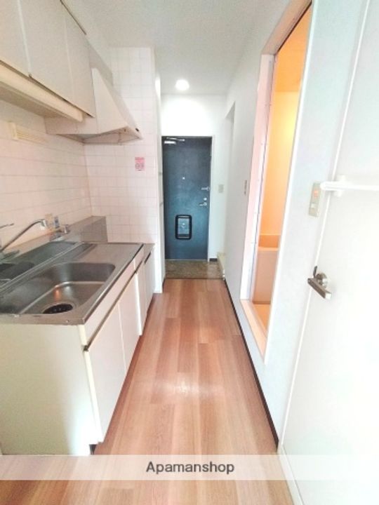 大阪府東大阪市長田中1丁目の賃貸マンションの内装