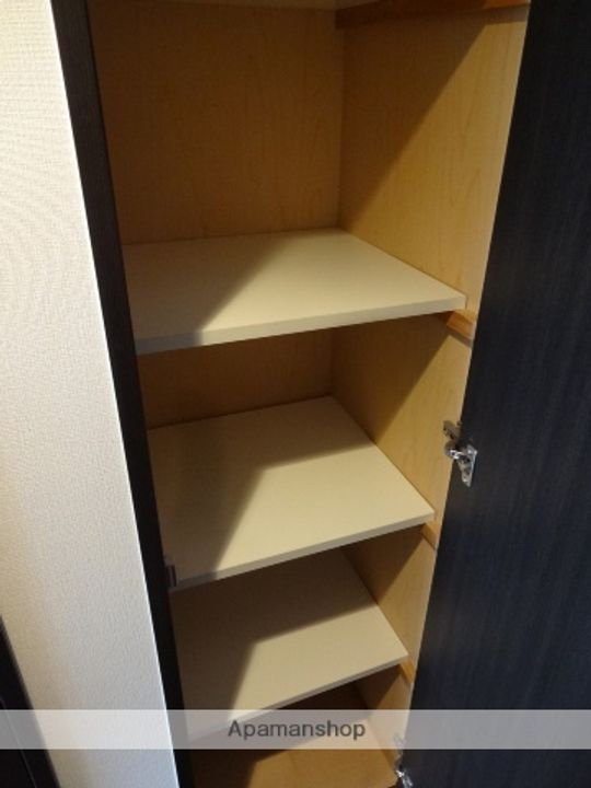 兵庫県尼崎市南塚口町1丁目の賃貸マンションの内装