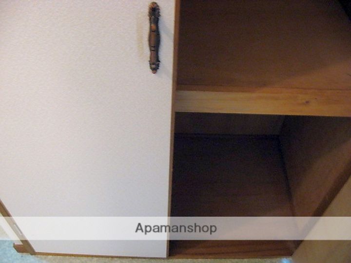 兵庫県西宮市樋之池町の賃貸マンションの内装