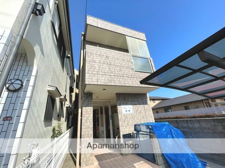 セレーン城跡の外観