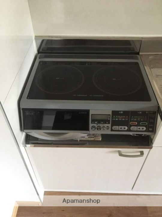 兵庫県西宮市獅子ケ口町の賃貸マンションの内装