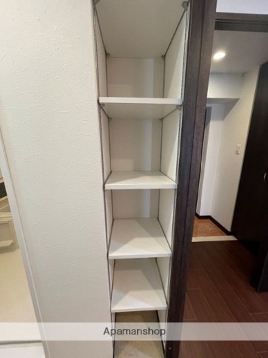 大阪府大阪市福島区海老江5丁目の賃貸マンションの内装
