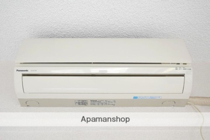 ピュア立花のその他画像