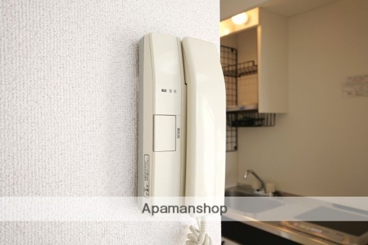 ピュア立花のその他画像