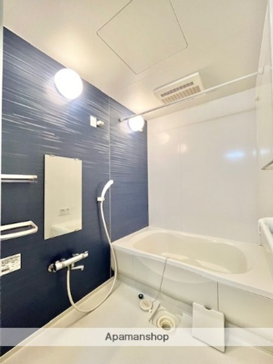 パークメゾン武庫之荘302の風呂