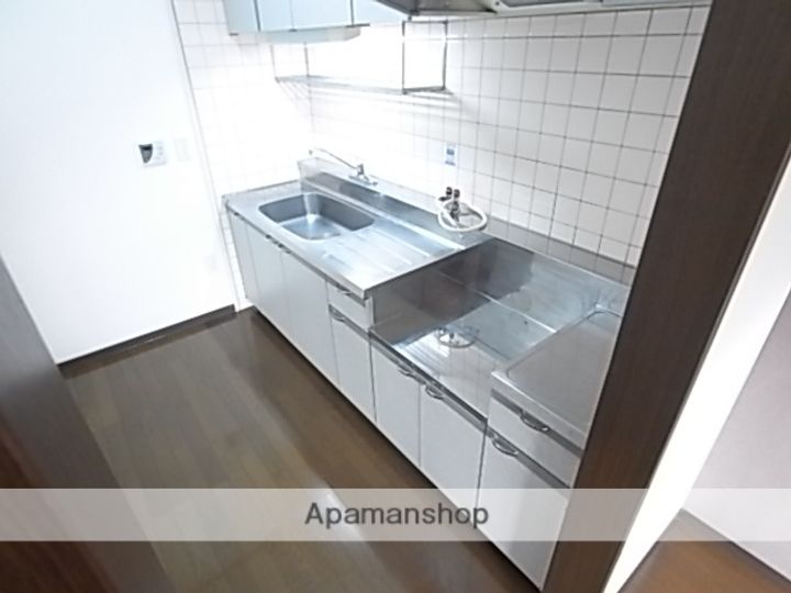 リバーガーデン藤301のキッチン