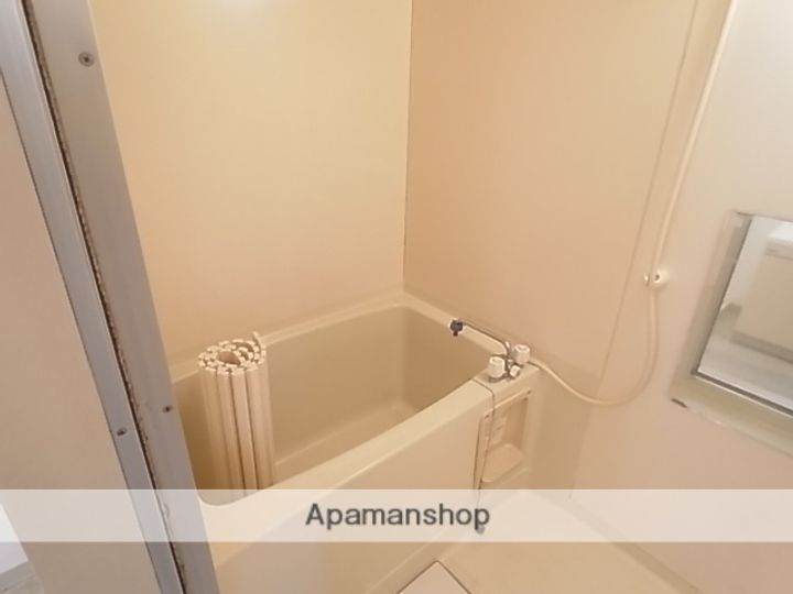 アビタシオン・リオ12FAの風呂