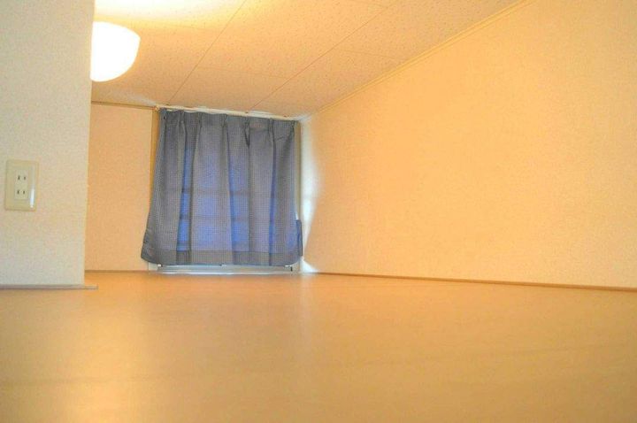 レオパレスAVENUE弐番館101のその他画像