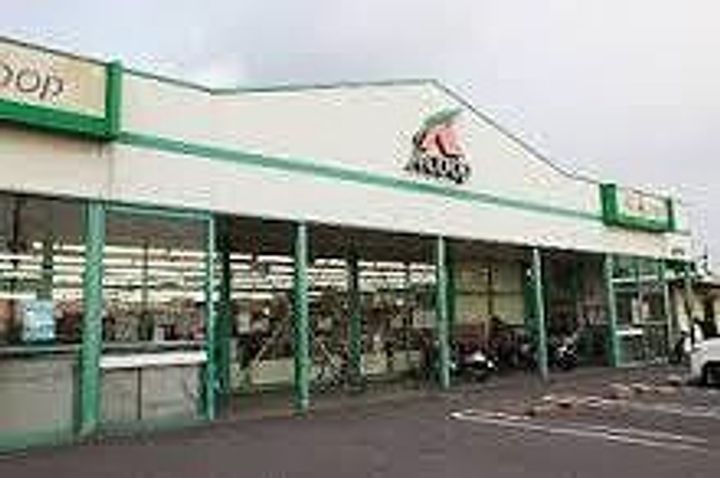 レオネクスト玉手Ⅱ101の周辺