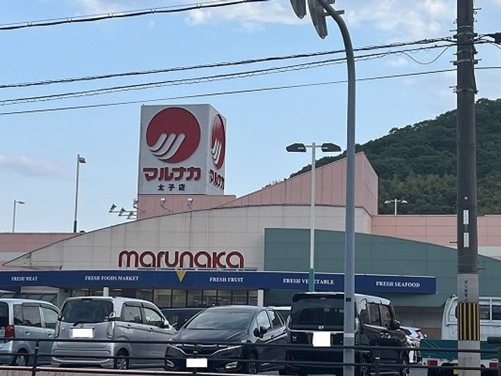 レオパレスNaturallyⅡ207の周辺