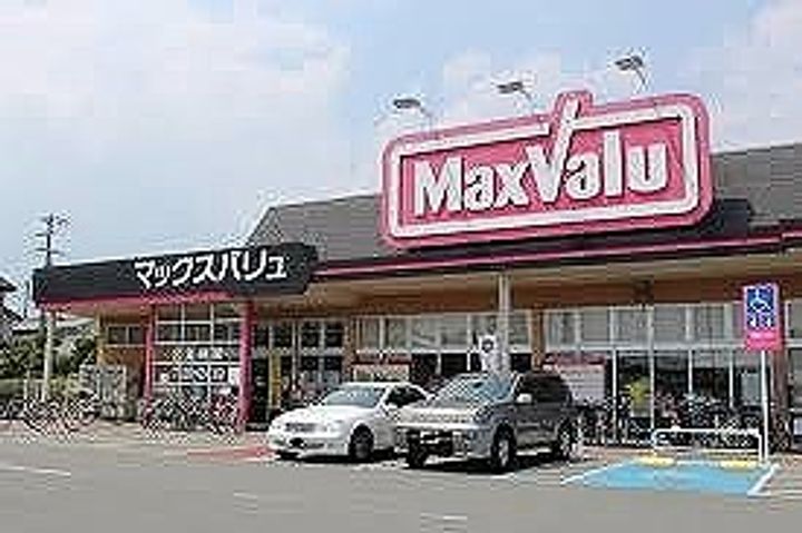 レオネクスト八代本町103の周辺