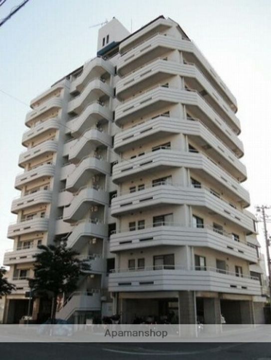 シャトラン白鷺Ⅱ202の外観