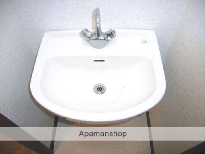 サンルピナスのその他画像