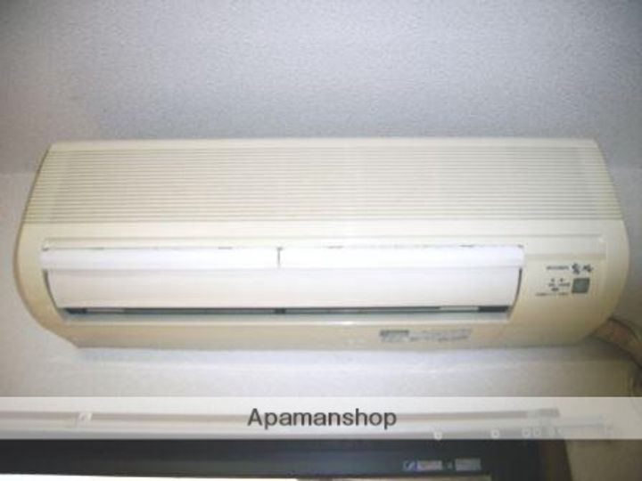 サンルピナスのその他画像