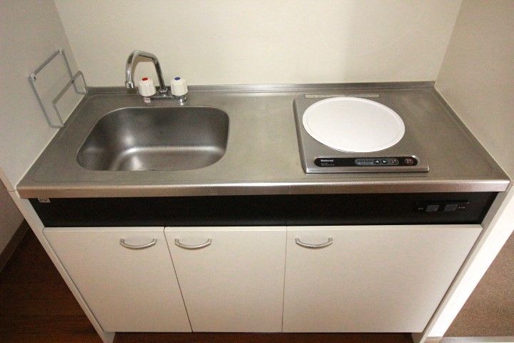 奈良県桜井市大字川合の賃貸マンションの内装