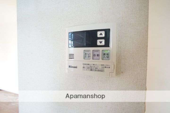 セントポーリアの内装