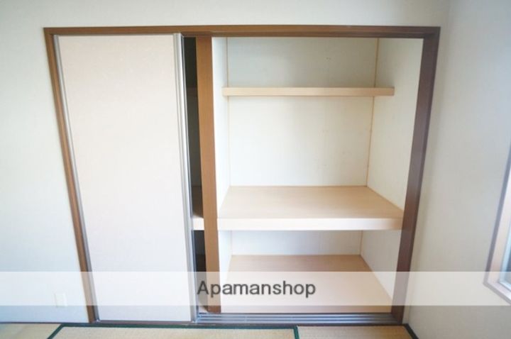 セントポーリアのその他画像