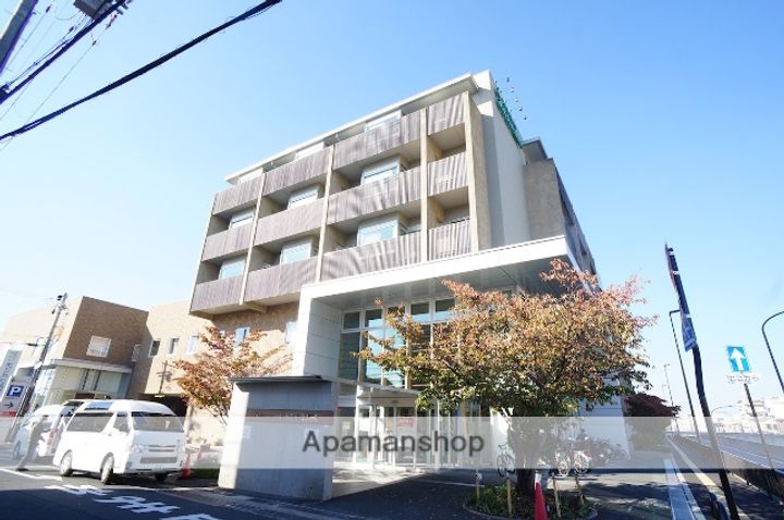 セントポーリアの周辺