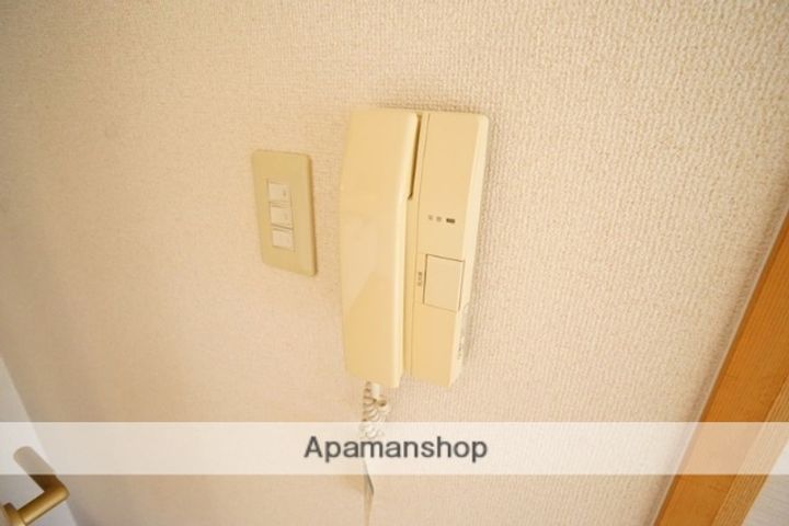 ヴェルドミールのその他画像