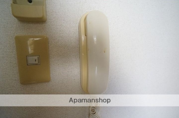 サンルピナスのその他画像