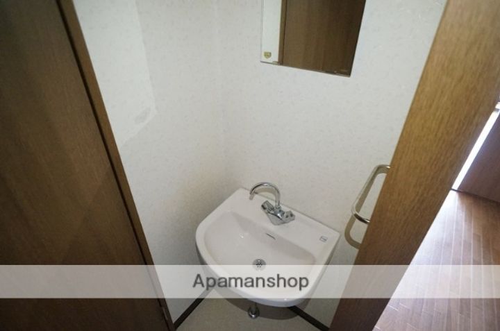 サンルピナスのその他画像