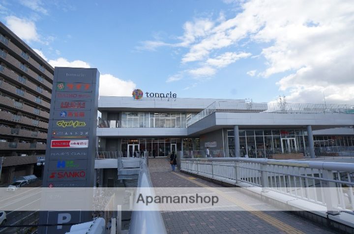 サンルピナスの周辺