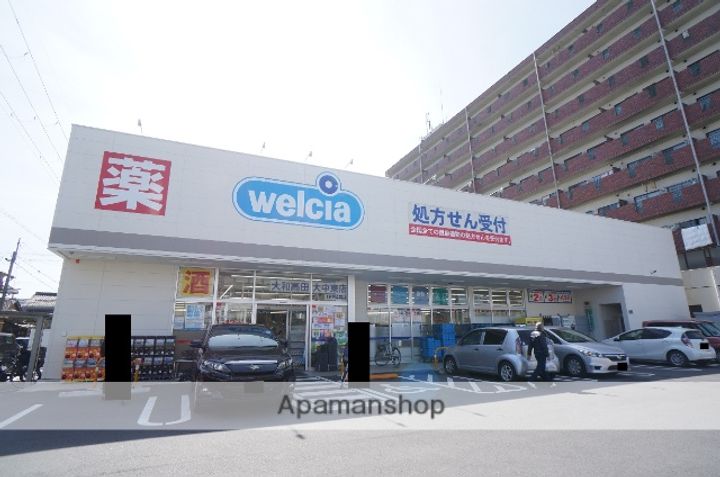 サンルピナスの周辺