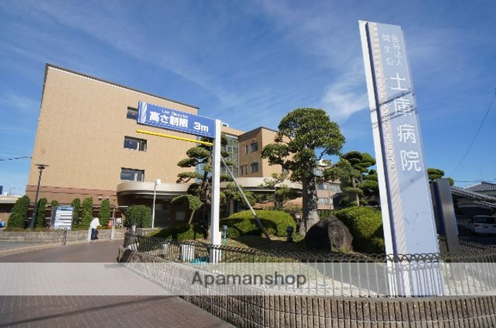 サンルピナスの周辺