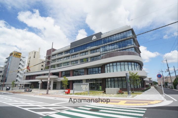 サンルピナスの周辺