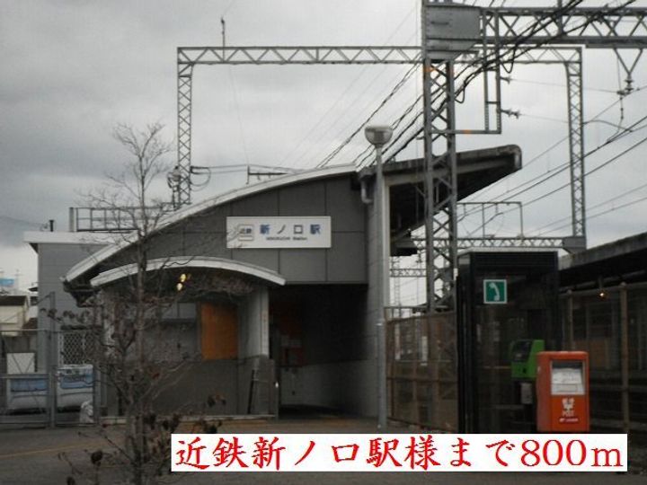 プリムローズの周辺