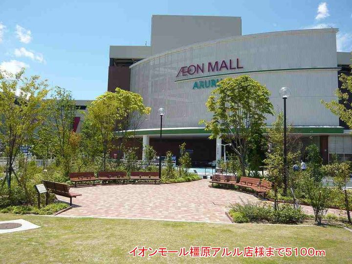 プリムローズの周辺