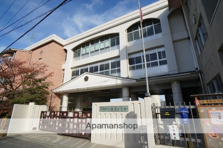 コスモスBの周辺