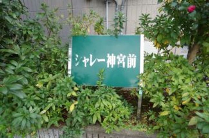 シャレー神宮前のその他画像