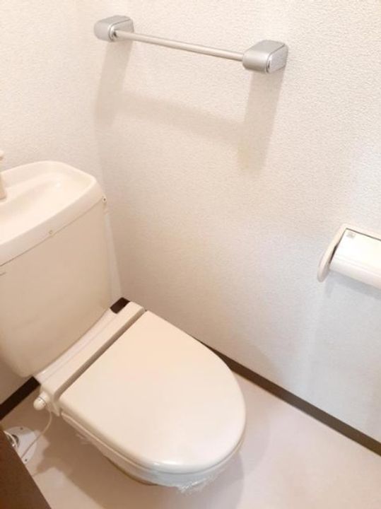 スターブルSのその他画像