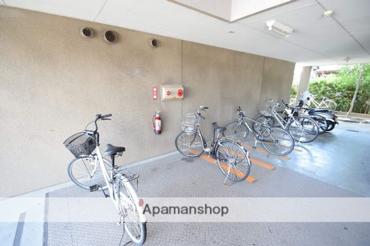 モニマン・デ・アルマ106のその他画像