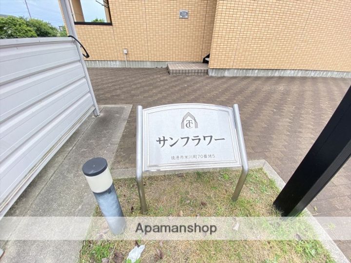 サンフラワーのその他画像