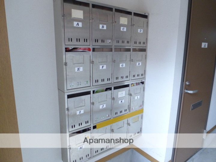 パープルHのその他画像