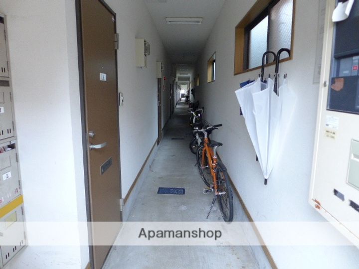 パープルHのその他画像