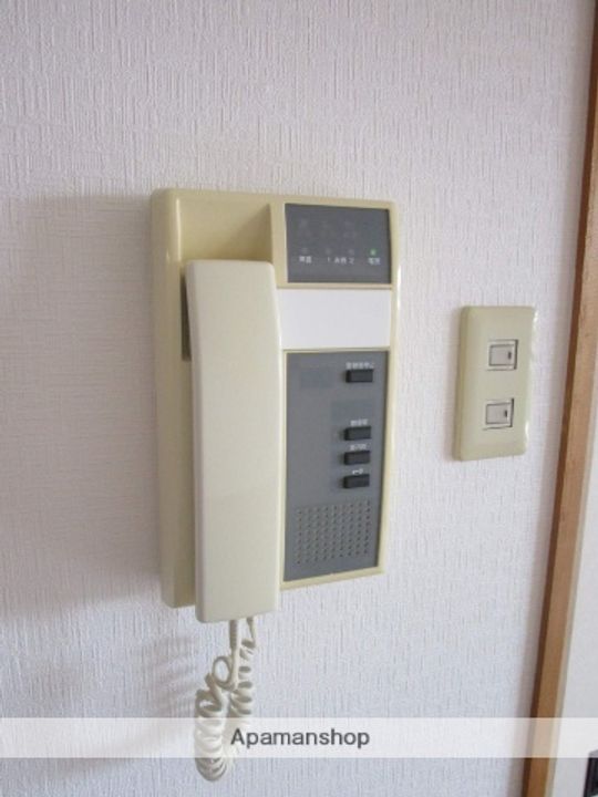 グリーンアイランドのその他画像